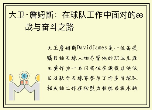 大卫·詹姆斯：在球队工作中面对的挑战与奋斗之路