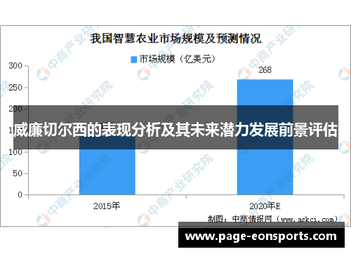 威廉切尔西的表现分析及其未来潜力发展前景评估