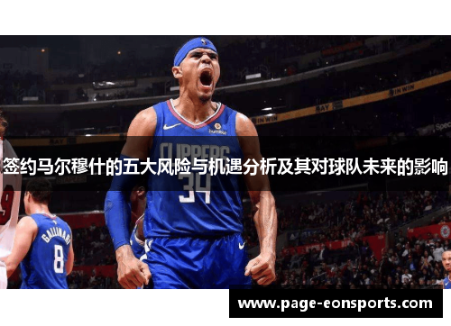 签约马尔穆什的五大风险与机遇分析及其对球队未来的影响