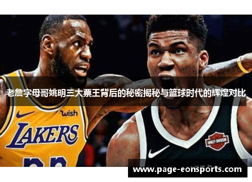 老詹字母哥姚明三大票王背后的秘密揭秘与篮球时代的辉煌对比