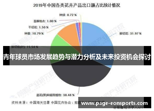 青年球员市场发展趋势与潜力分析及未来投资机会探讨